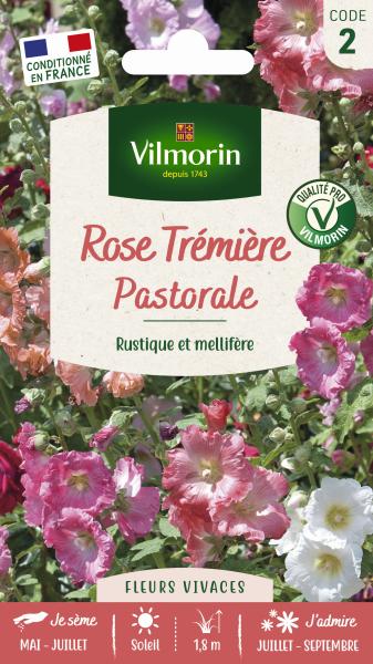 Fleurs - Rose Trémière Pastorale - PACKAGING_RECTO